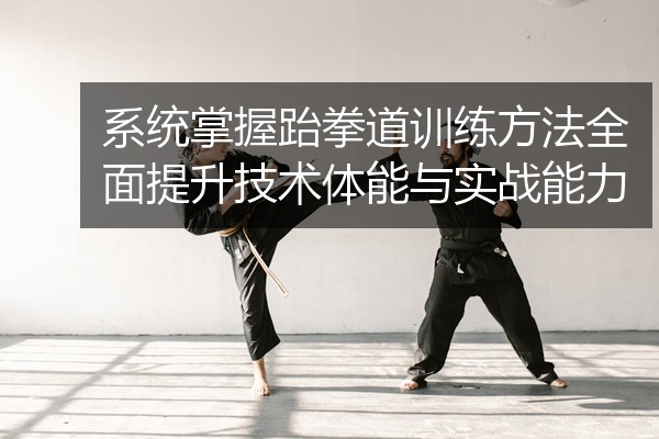 系统掌握跆拳道训练方法全面提升技术体能与实战能力