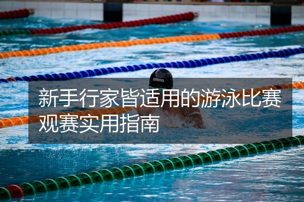 新手行家皆适用的游泳比赛观赛实用指南