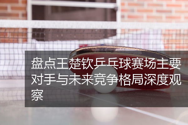 盘点王楚钦乒乓球赛场主要对手与未来竞争格局深度观察