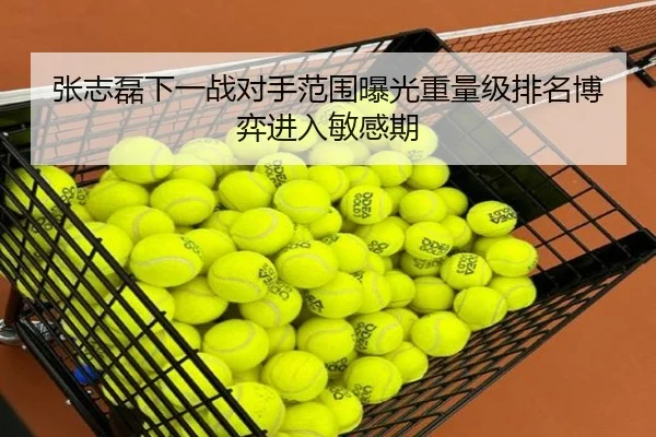 张志磊下一战对手范围曝光重量级排名博弈进入敏感期